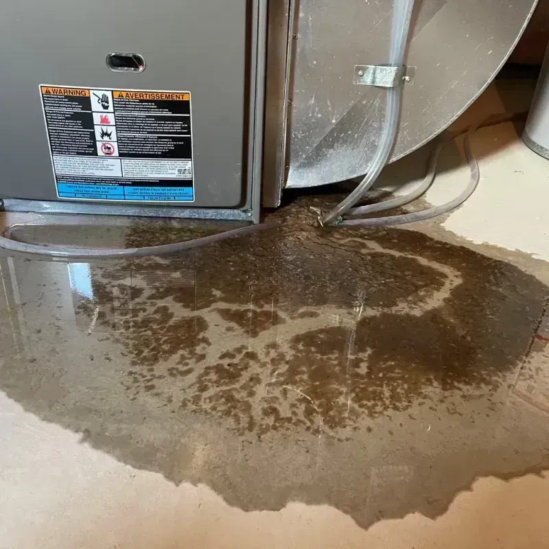 Appliance Leak Cleanup in Black Diamond, WA